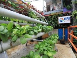 Berkat BRInita, Kampung Palm Eco Green Village Malang Asri