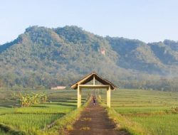 BRI Akan Apresiasi 15 Desa BRILian Terbaik