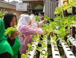 Berkat Program BRInita, Kelompok PKK Rawa Barat Sukses