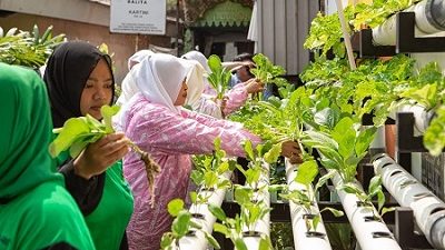 Berkat Program BRInita, Kelompok PKK Rawa Barat Sukses