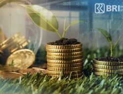 BRI-MI Sabet Top 5 Manajer Investasi di Tahun Pertama