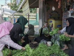 Program BRInita Sulap Lahan Sempit Jadi Urban Farming