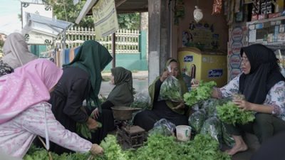 Program BRInita Sulap Lahan Sempit Jadi Urban Farming