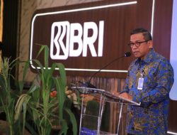 Transaksi Cash Management di QLola by BRI Tumbuh 33,9%