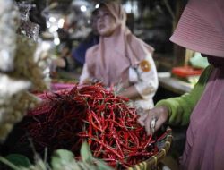 Harga Bahan Pangan Naik, Pedagang Pasar “Buntung”