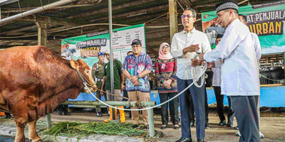 heru bagikan hewan kurban