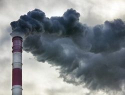 KLHK Hentikan Operasional Dua Perusahaan Nakal