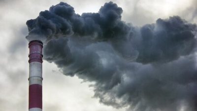 KLHK Hentikan Operasional Dua Perusahaan Nakal