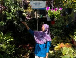 Bisnis Pedagang Bunga Bratang Surabaya Terus Berkembang