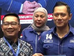 Pilkada Jakarta, Ridwan Kamil Klaim Didukung Warga Betawi