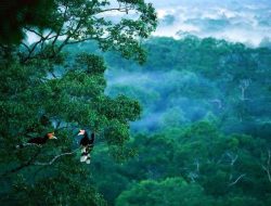 Kalimantan Dinobatkan Sebagai Destinasi Impian Asia 2025