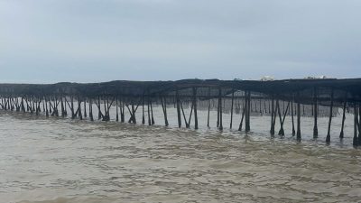 Nelayan Desa Kohod Geram, Pagar Laut Tangerang Tak Sepenuhnya Dibongkar.