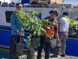 Dukung Pertanian, Sudin KPKP Kepulauan Seribu Salurkan 55 Bibit Tanaman