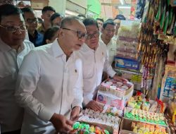 Cek Harga Pangan, Zulhas dan Bapanas Kunjungi Pasar Johar Baru