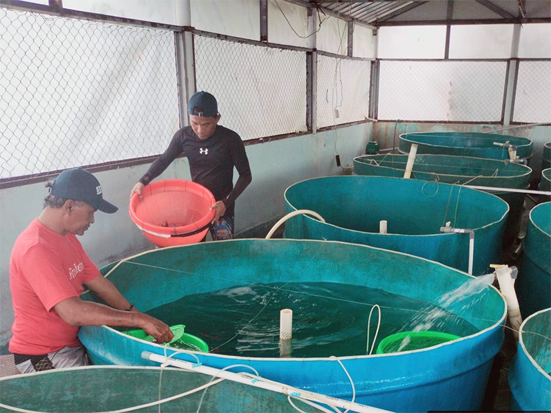 Nelayan Jakarta Didorong Maksimalkan Potensi Ekspor Ikan