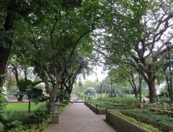 Pemprov DKI Jakarta Siapkan Pembangunan Trek Jogging di Taman Langsat, Leuser, dan Ayodya