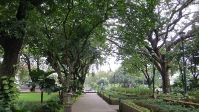 Jogging Track Taman Suropati