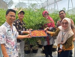 Urban Farming di Pulo Gebang Jakarta Timur Jadi Edu Farm untuk Masyarakat