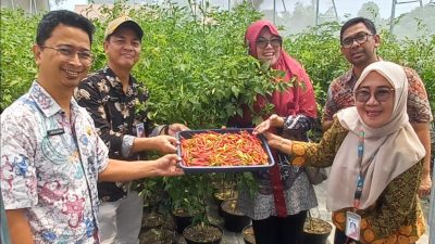 Urban Farming di RW 06 Pulo Gebang akan Dijadikan Edu Farm