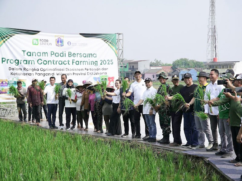 DKI gandeng Gapoktan Rorotan lakukan pertanian kontrak