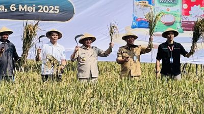 anen Raya di Karawang, Pramono dan Aep Turun ke Sawah
