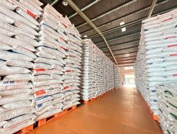 Bulog DKI Jakarta dan Banten Serap 45 Ribu Ton Gabah, Hampir Capai Target Musim Panen