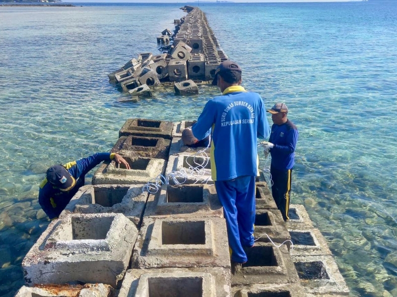 Tanggul Pemecah Ombak di Sisi Barat Pulau Pramuka Diperbaiki