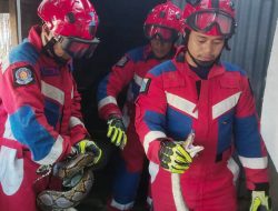 Gulkarmat Jakarta Timur Evakuasi Ular Sanca Dua Meter dari Pekarangan Rumah Warga