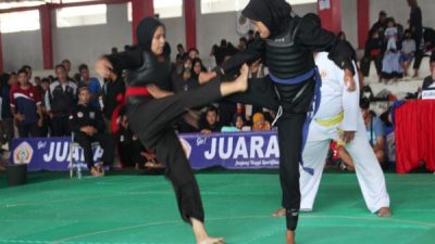 Ilustrasi - Turnamen Pencak Silat