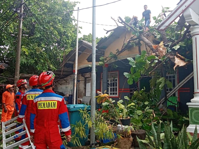 Istimewa - Petugas Gabungan Tangani Dampak Angin Kencang di Pulau Sabira