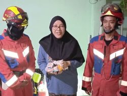 Petugas Gulkarmat Jakarta Timur Selamatkan Anak Kucing dari Dalam Pipa Saluran Air