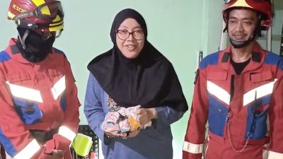 Personel Gulkarmat Jaktim Selamatkan Kucing dari Pipa Saluran Air