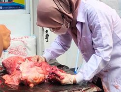 225 Kilogram Organ Hewan Kurban di Jakarta Selatan Tidak Layak Konsumsi, Langsung Dimusnahkan