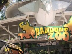Luruskan Fakta, Taman Safari Indonesia Klaim Tidak Terkait Perkara Tipikor dan Bandung Zoo