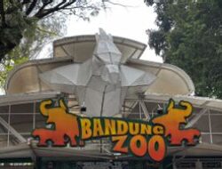 MENYEDIHKAN! Keuangan Yayasan Menipis, Karyawan Bandung Zoo Patungan Beli Pakan Satwa